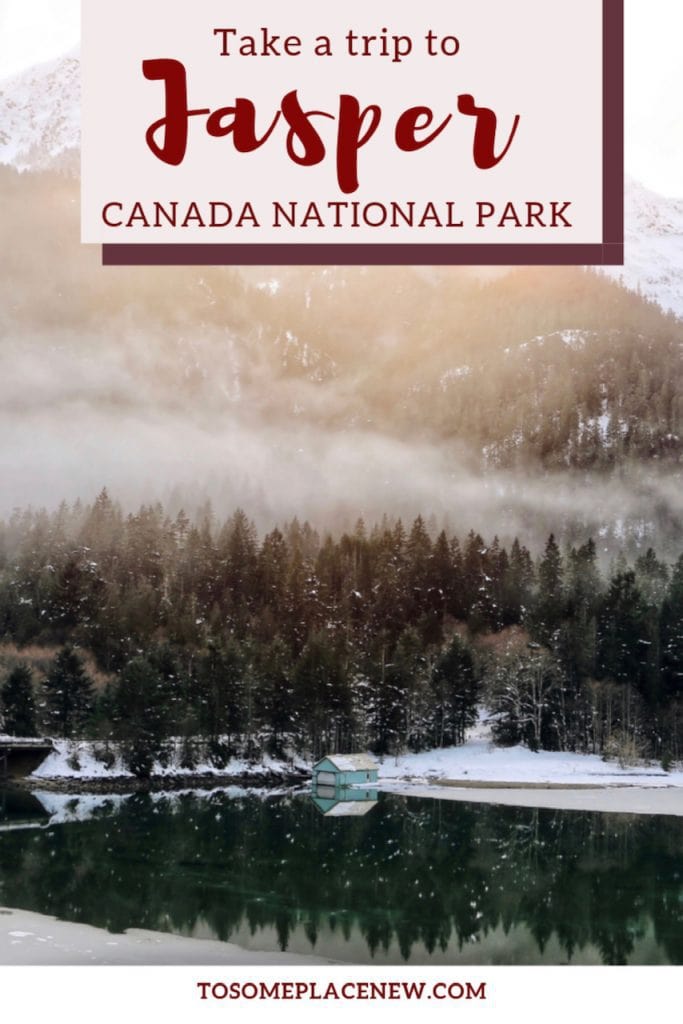 | Jasper国家公园从埃德蒙顿出发| Jasper国家公园住在哪里| Jasper国家公园北极光# Jasper #加拿大旅游#国家公园