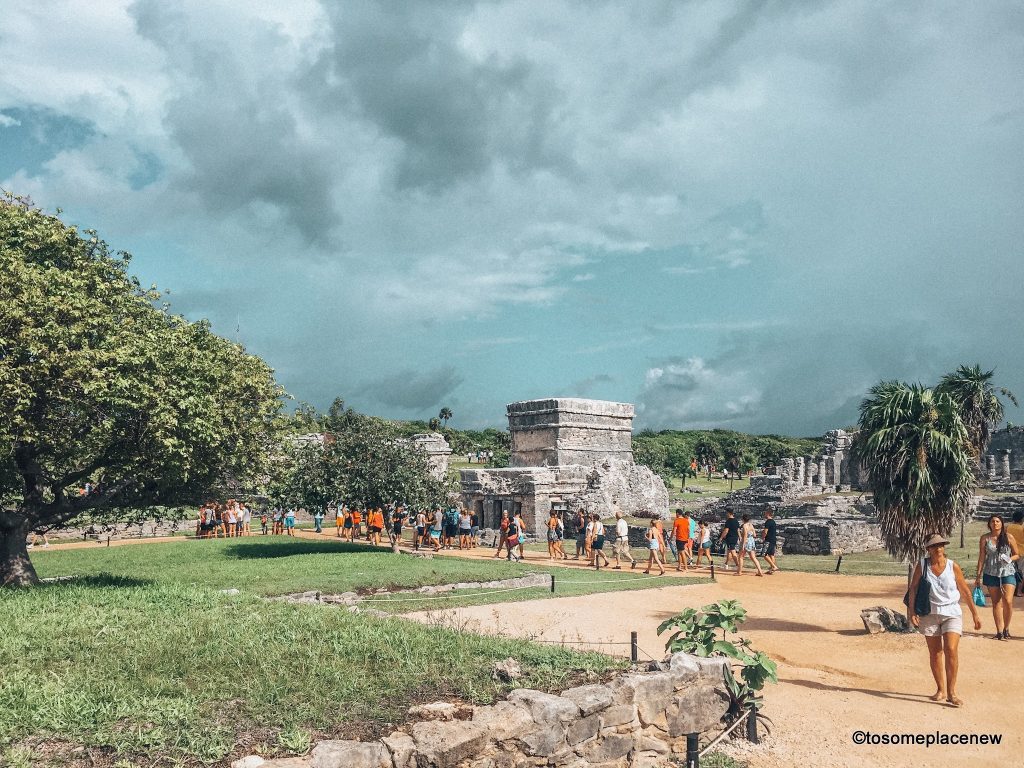 图卢姆是位于墨西哥Yucatán半岛的一个沿海城镇。图卢姆以其海滩和古玛雅遗址而闻名。这篇文章重点介绍了一天的行程和图卢姆国家公园的快速指南，包括帕拉迪索。
