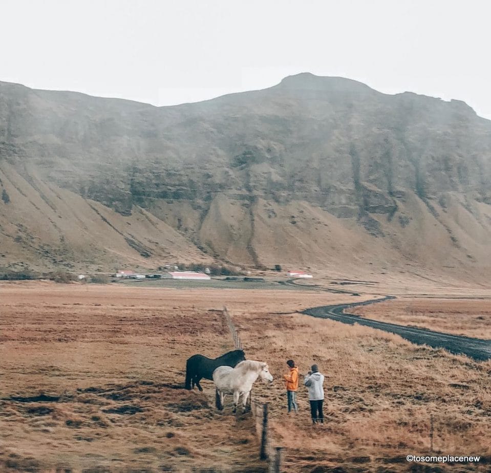 冰岛最好的导游精心挑选，以满足每个旅行者的需求。无论你是喜欢探险旅行还是城市徒步旅行，我们都能满足你。