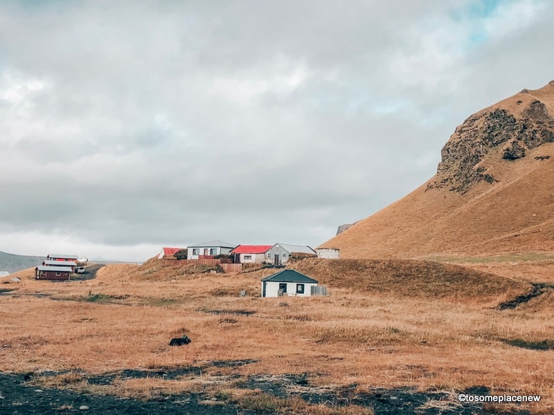 冰岛最棒的导游