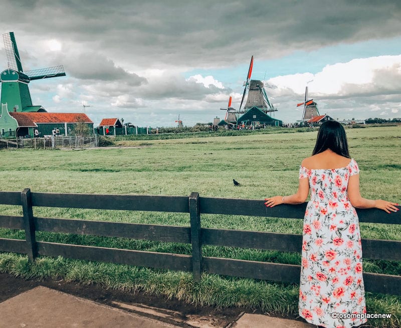Zaanse Schans参观阿姆斯特丹风车村