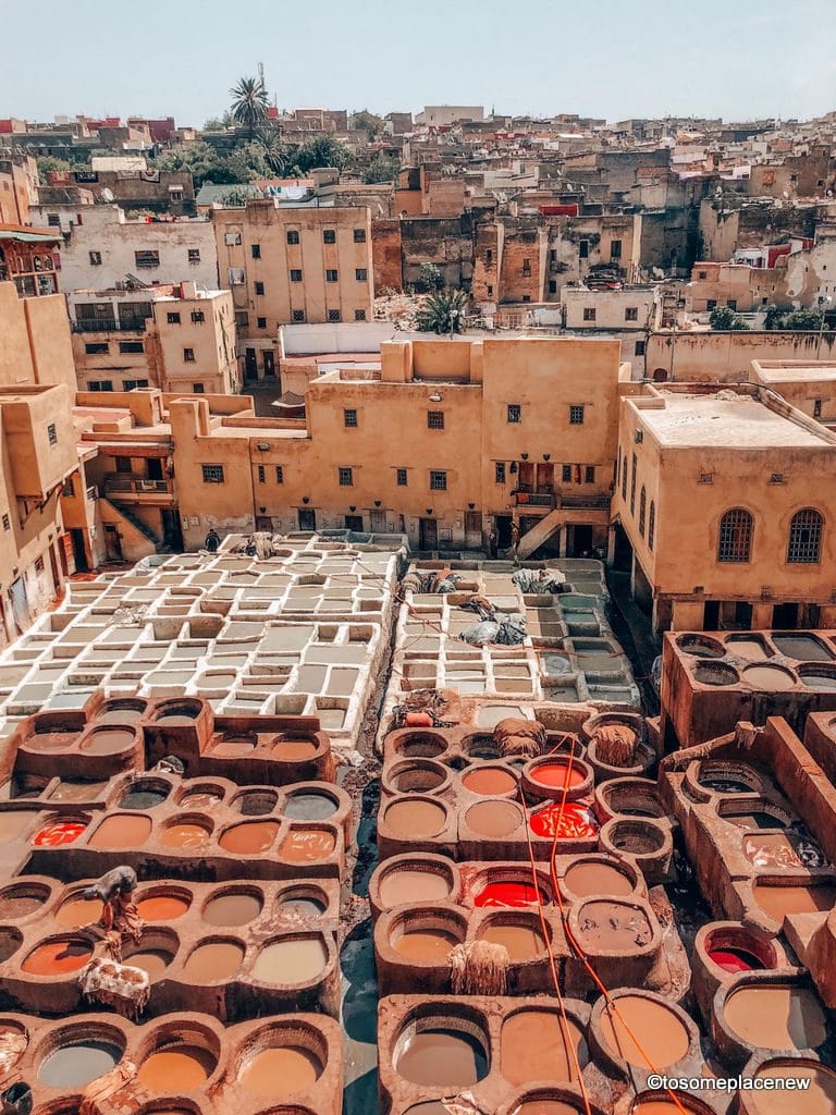 摩洛哥Fes的25件不可思议的事情:Fes行程