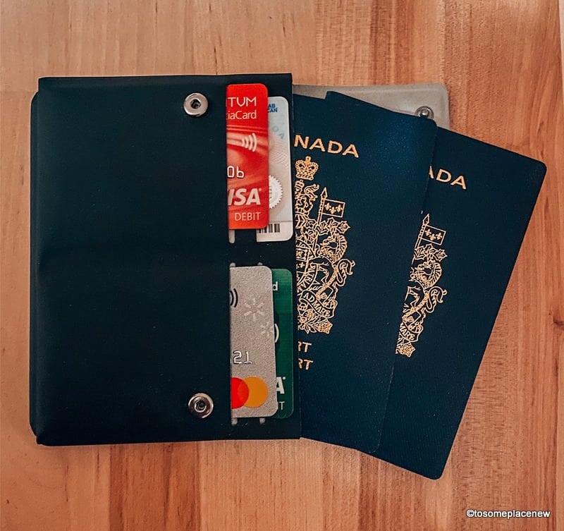 Pacsafe护照钱包-最好的极简主义旅行钱包