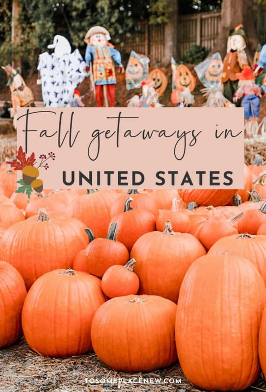 从9月到11月，美国最好的秋季假期就在这里。享受秋叶、南瓜味拿铁和清爽的早晨吧!