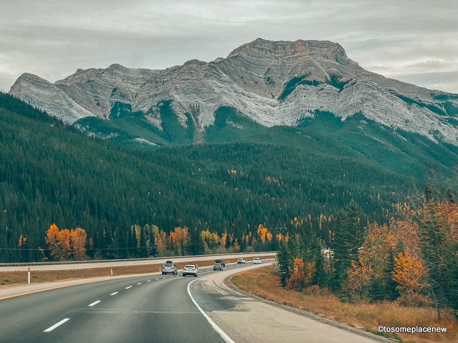 开车穿过加拿大落基山脉