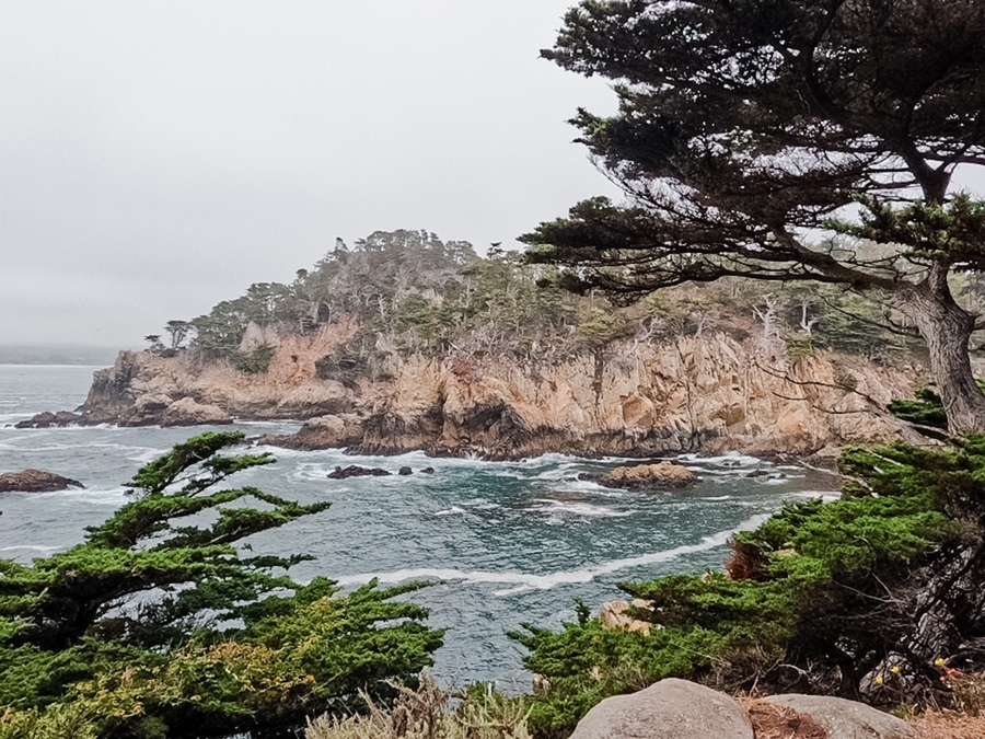 Point Lobos国家自然保护区