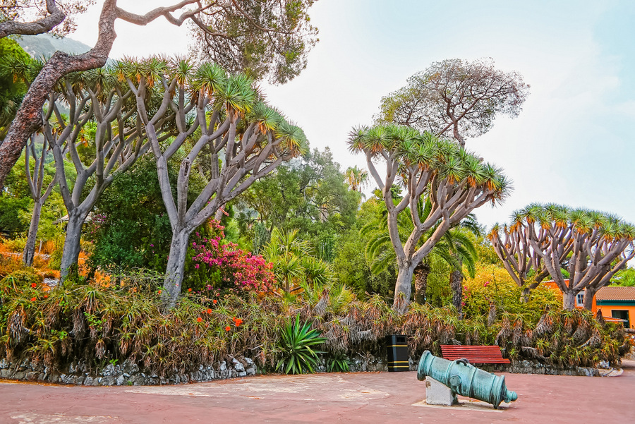 拉阿拉米达花园内的小型大炮，这是直布罗陀的一个植物园，英国的海外领土
